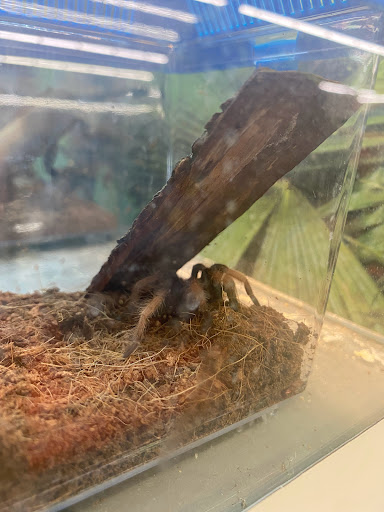 Pet Supply Store «PetSmart», reviews and photos, 128 Bailey Farm Rd, Monroe, NY 10950, USA