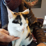 Photo n°1 de l'avis de Carlo.u fait le 18/05/2020 à 09:06 sur le  Bar Lume à Samolaco