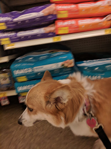 Pet Supply Store «PetSmart», reviews and photos, 1450 Spring Meadows Dr, Holland, OH 43528, USA