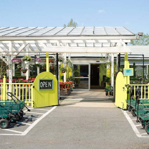 Potomac Petals and Plants, 9545 River Rd, Rockville, MD 20854, USA, 