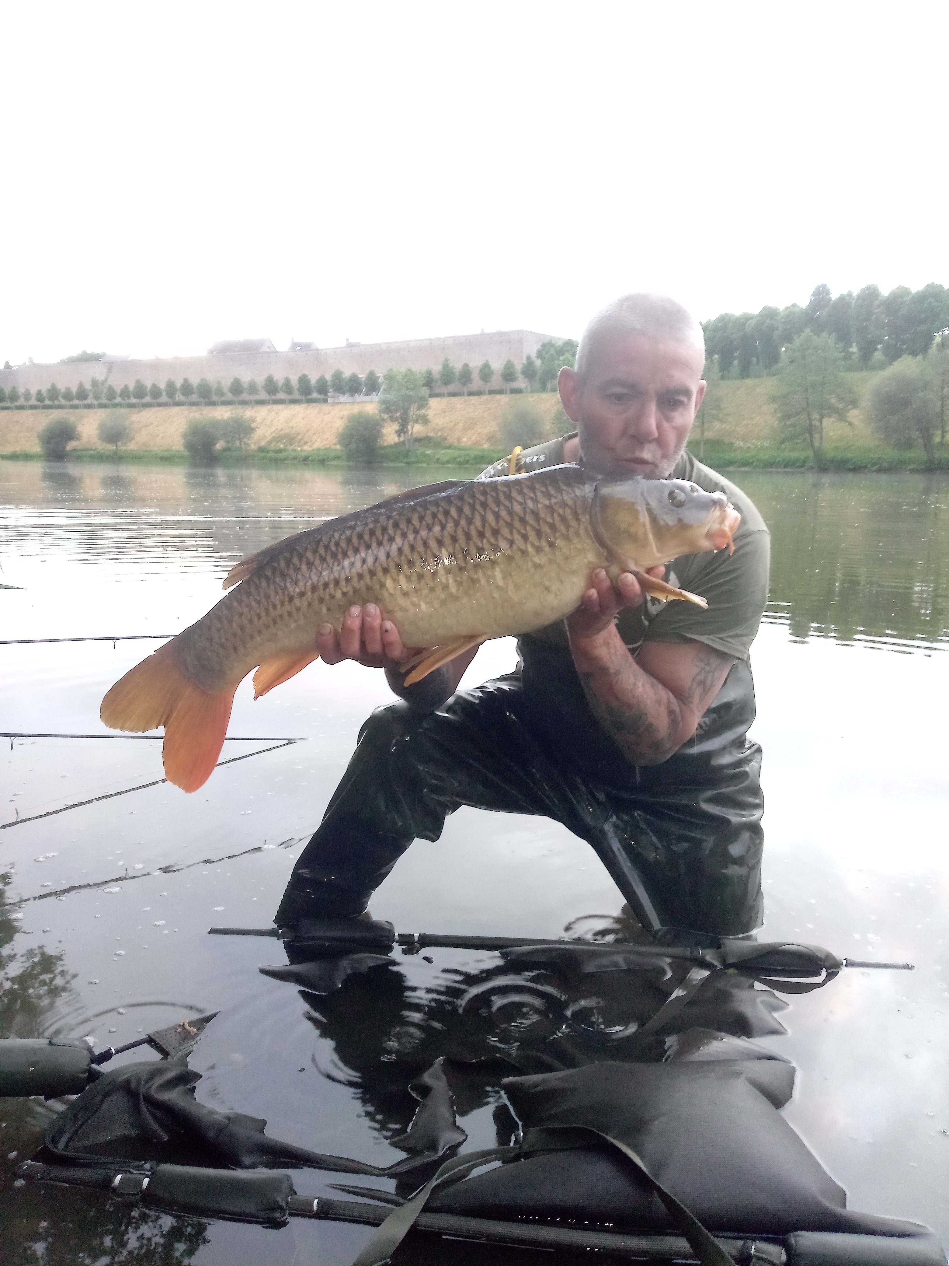 Photo n° 5 de l'avis de Medved.r fait le 19/05/2022 à 14:51