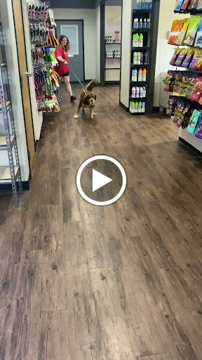 Pet Groomer «U Dirty Dog», reviews and photos, 232 Stevens Entry, Peachtree City, GA 30269, USA