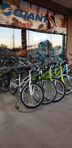 Bicycle Store «Bike Masters Mesa Bike Shop», reviews and photos, 1545 S Power Rd #104, Mesa, AZ 85209, USA