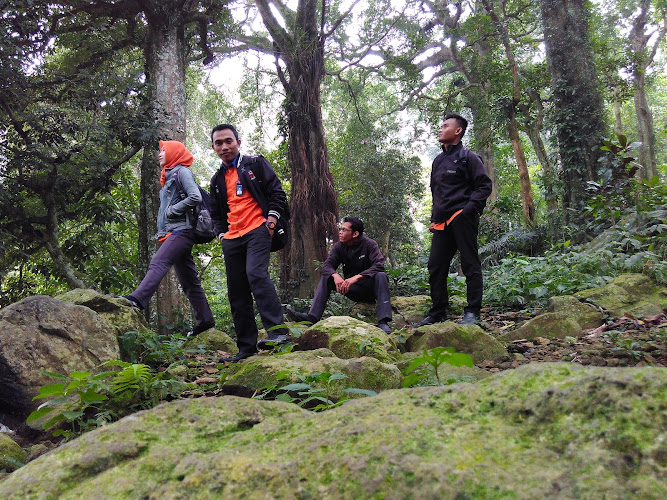 Taman Nasional di Kabupaten Lombok Tengah: Menikmati Keindahan Horti Park, Tastura Trekking Club, dan Gawah Bone