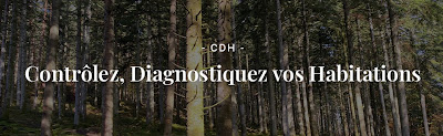 CDH DIAGNOSTIQUEUR IMMOBILIER à Mézériat
