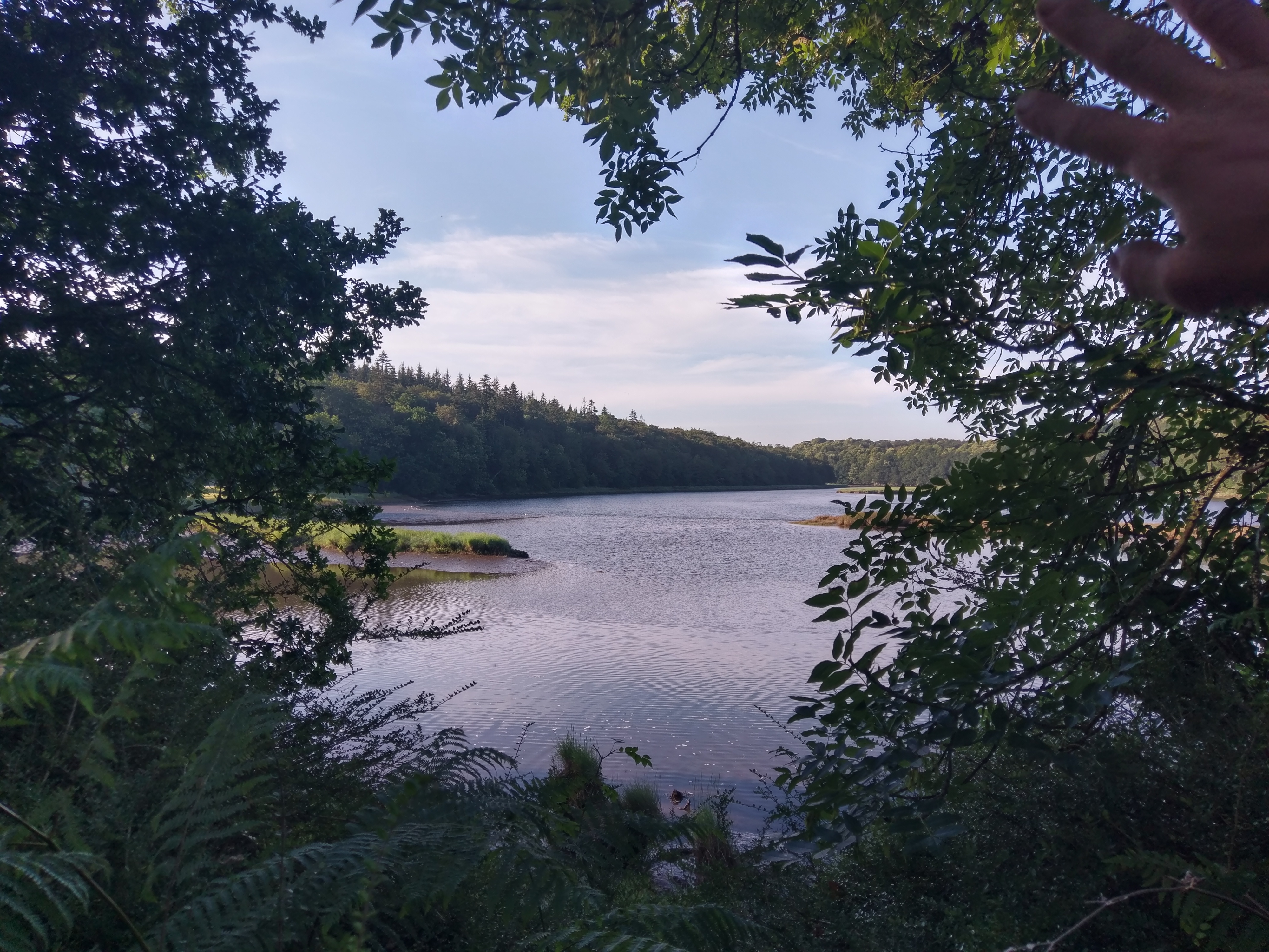 Photo n° 2 de l'avis de Camille.o fait le 14/07/2018 à 07:27