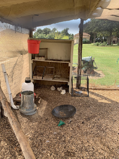 Bar «Fortunata Winery», reviews and photos, 2297 FM2931, Aubrey, TX 76227, USA