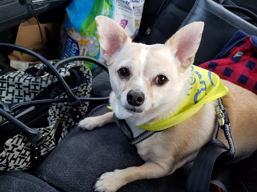 Pet Supply Store «PetSmart», reviews and photos, 467 Cross Keys Rd, Sicklerville, NJ 08081, USA