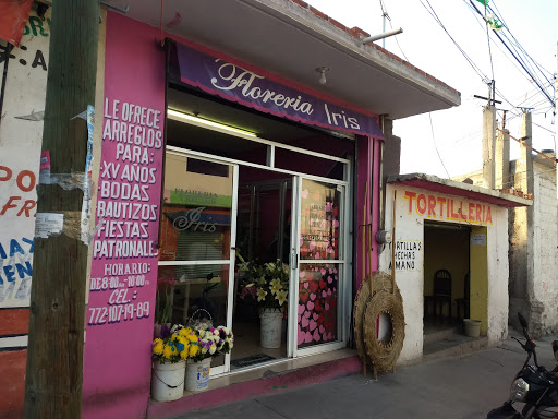 Florería Iris – Ixmiquilpan
