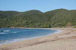 Photo de Plage De Chiuni avec un niveau de propreté de assez propre