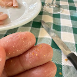 Photo n°2 de l'avis de Andrea.i fait le 08/06/2023 à 14:33 sur le  Trattoria Sandoni à San Lazzaro di Savena