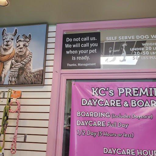 Pet Groomer «Doggie Style Bowtique», reviews and photos, 1713 Westport Rd, Kansas City, MO 64111, USA