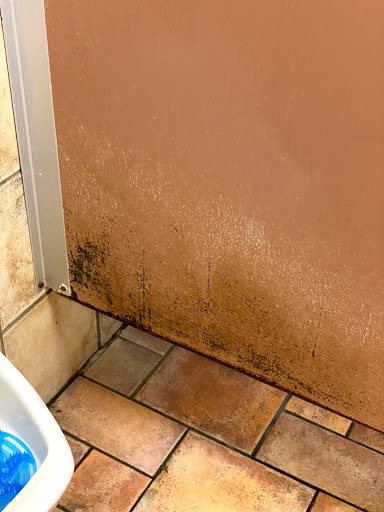 Grocery Store «Stop & Shop», reviews and photos, 240 E Sandford Blvd, Mt Vernon, NY 10550, USA