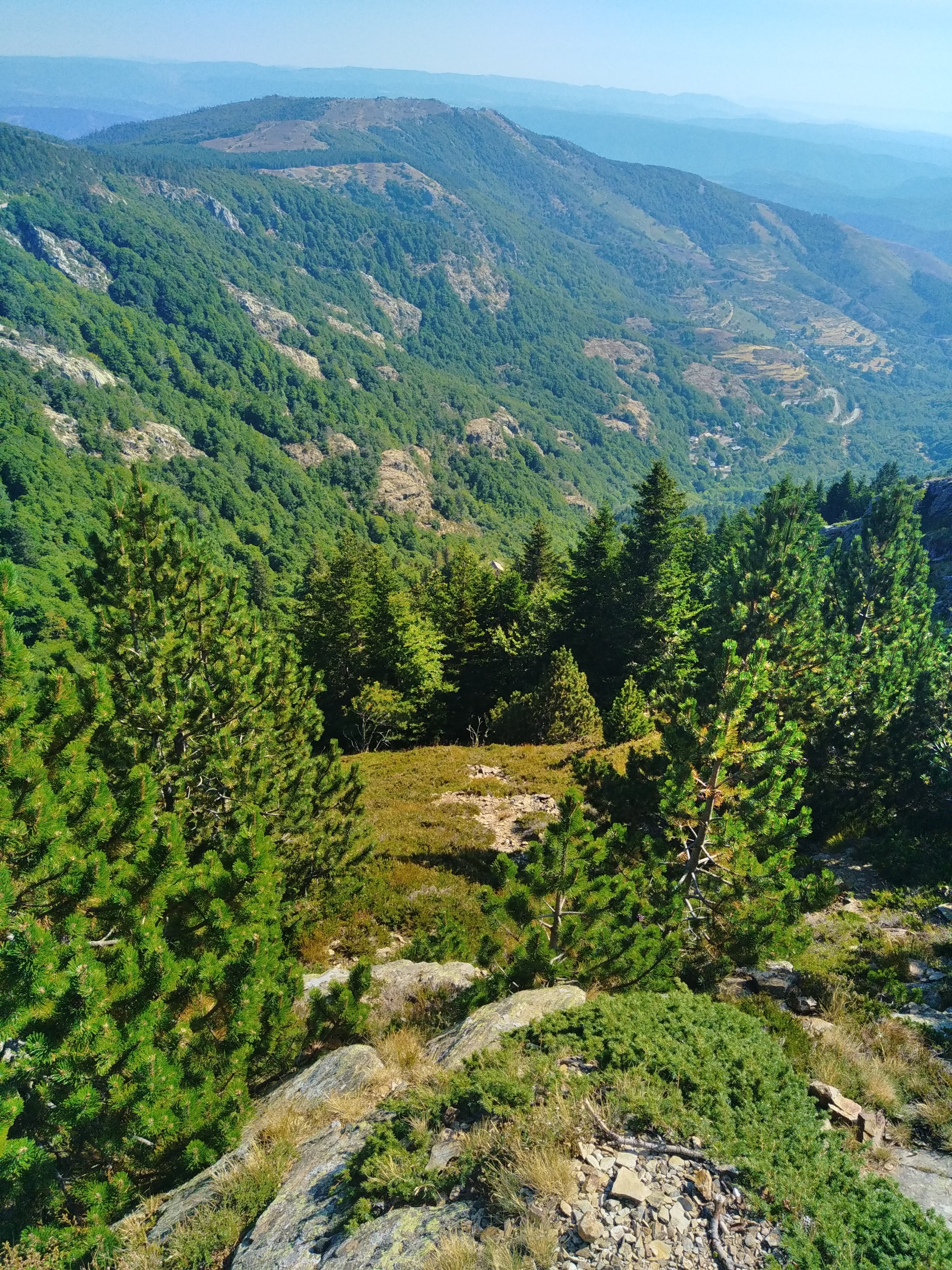 Photo n° 20 de l'avis de Julien.a fait le 15/10/2022 à 19:20
