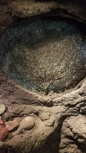 Gift Shop «Seattle Aquarium Gift Store», reviews and photos, 1483 Alaskan Way, Seattle, WA 98101, USA