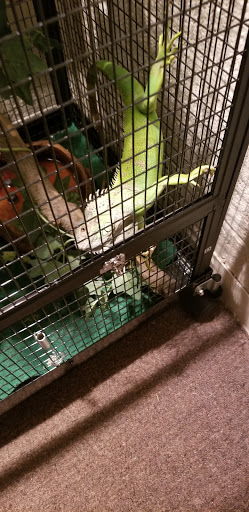 Pet Supply Store «Pet Supplies Plus», reviews and photos, 375 Paterson Ave #105, Wallington, NJ 07057, USA