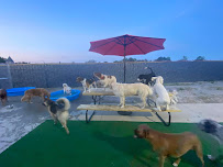 Wooferties Pet Resort LLC - Photo 3 - Car repair in Newburgh, IN, Evansville