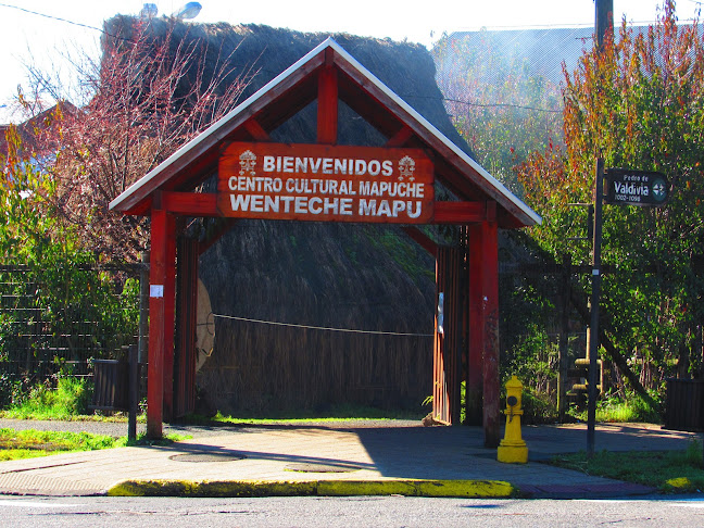 Opiniones de Centro Cultural Wenteche Mapu en Villarrica - Museo