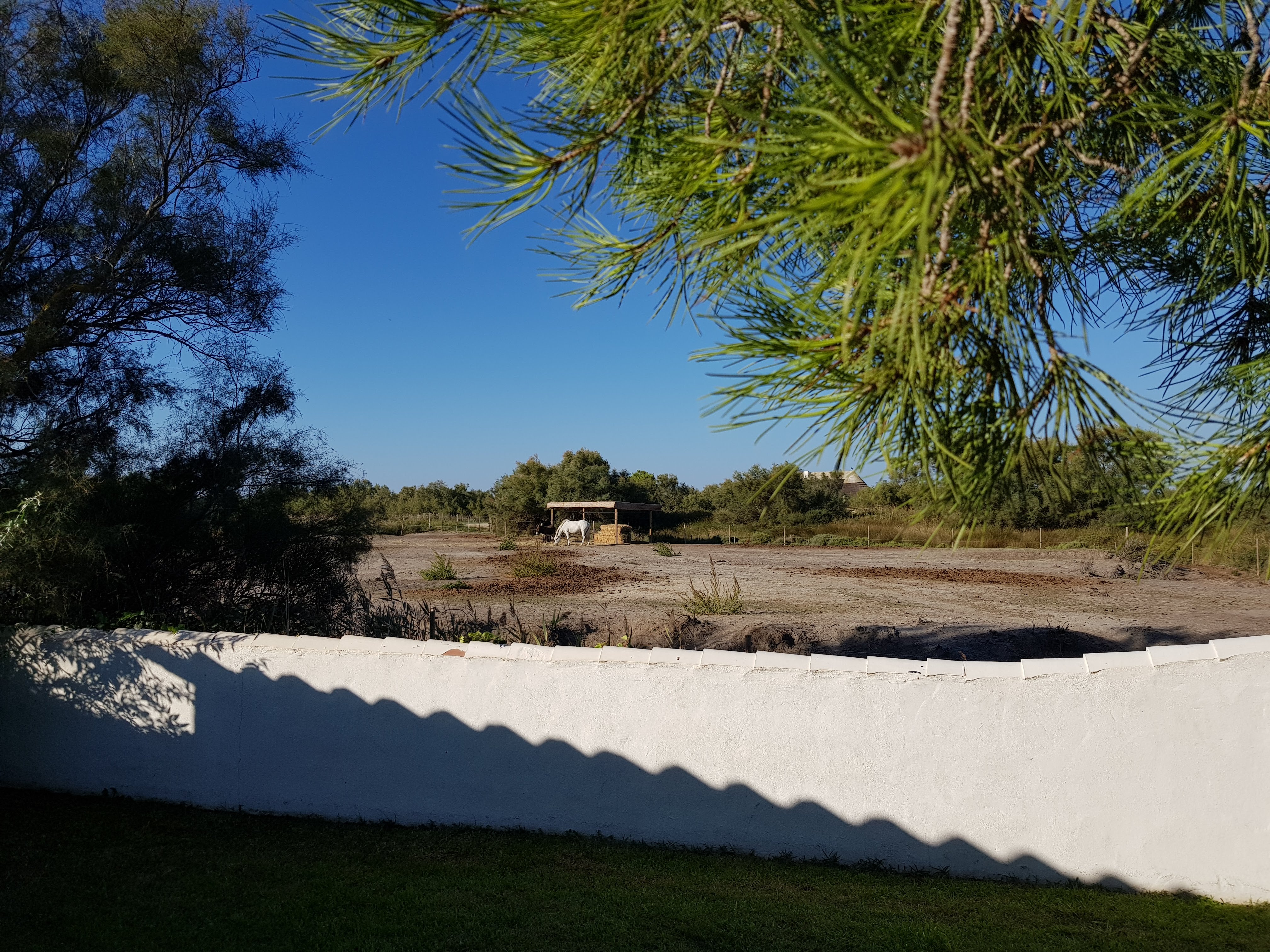 Photo n° 6 de l'avis de Hendrik.i fait le 24/09/2018 à 16:17
