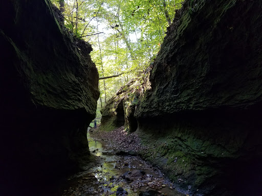 Campground «Fallen Rock Park Restaurant», reviews and photos, 8816 Fallen Rock Rd, Brazil, IN 47834, USA