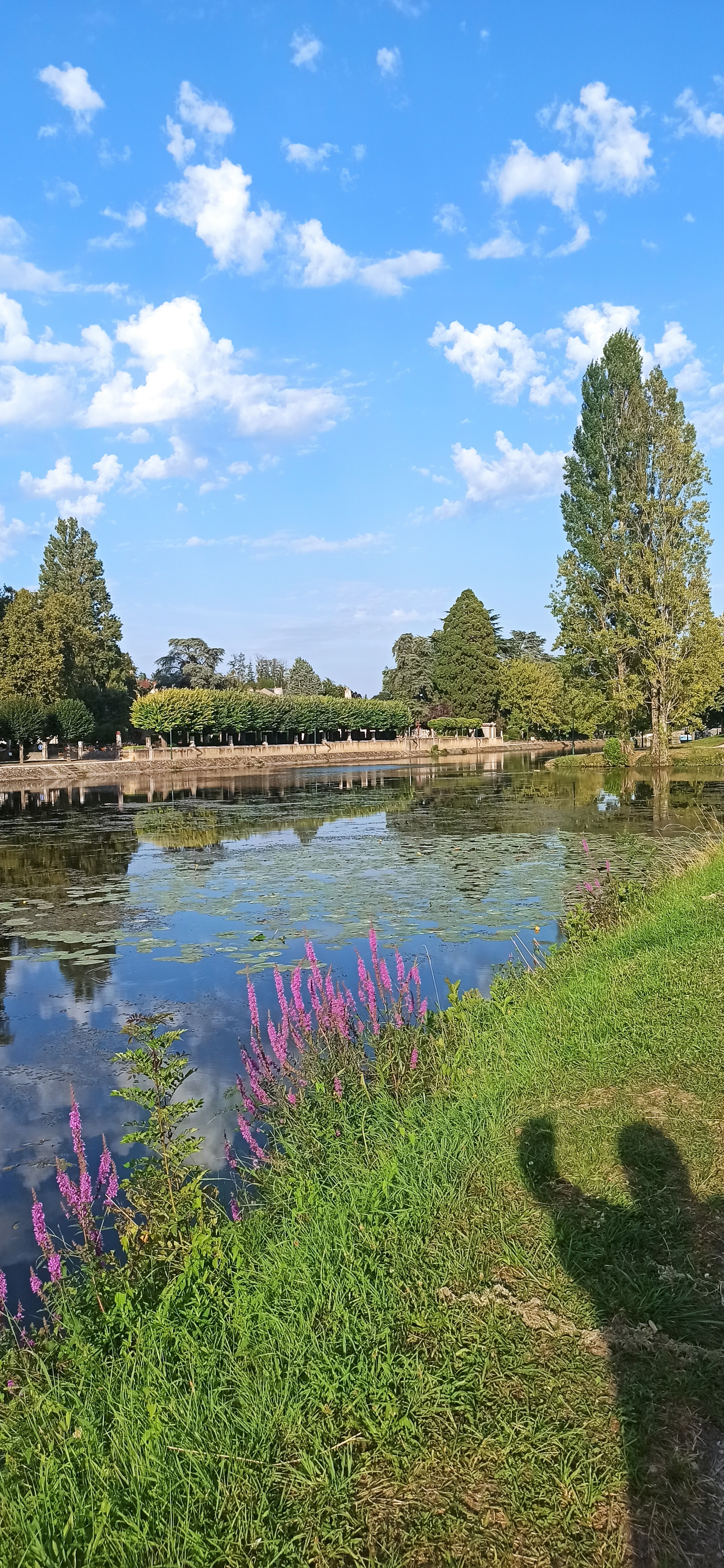 Photo n° 2 de l'avis de Klaus.c fait le 17/08/2023 à 18:04