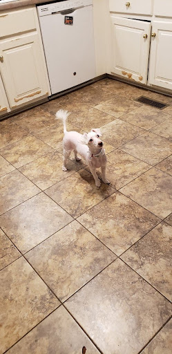 Pet Supply Store «Petco Animal Supplies», reviews and photos, 8213 Hwy 72 W c, Madison, AL 35758, USA