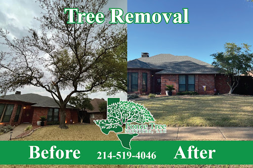Ponce Tree Services