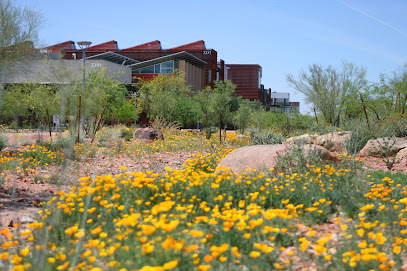 College of Integrative Sciences and Arts at ASU