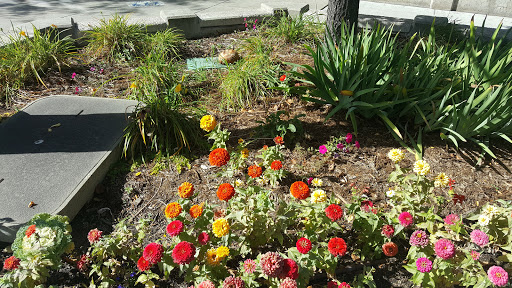 Park «Acacia Park», reviews and photos, 115 E Platte Ave, Colorado Springs, CO 80903, USA