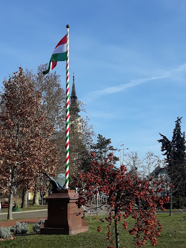 Opinii despre Csongrád în Csongrád-Csanád - Bank