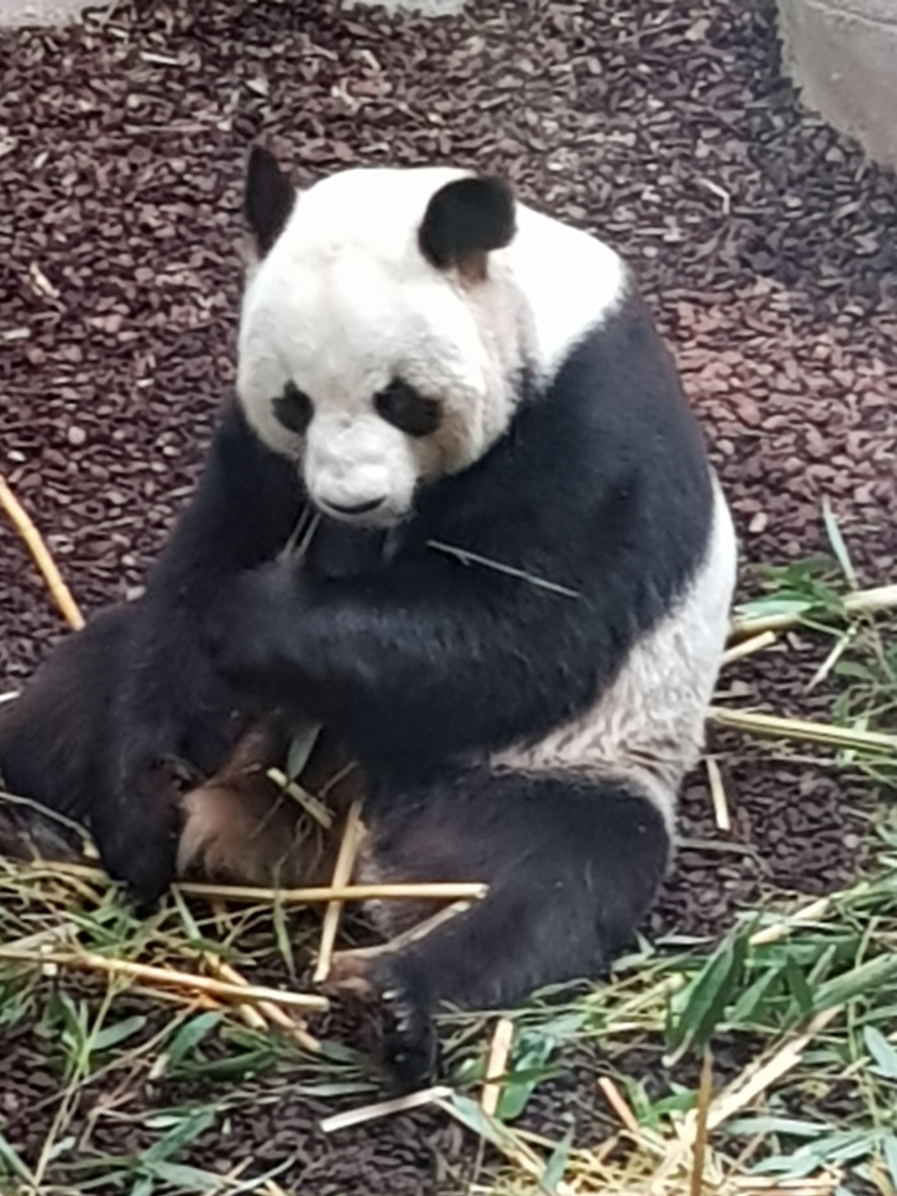 Photo n° 1 de l'avis de Patrick.e fait le 15/04/2018 à 08:45