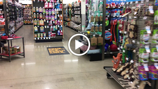 Pet Supply Store «Petco Animal Supplies», reviews and photos, 5601 Brodie Ln, Sunset Valley, TX 78745, USA