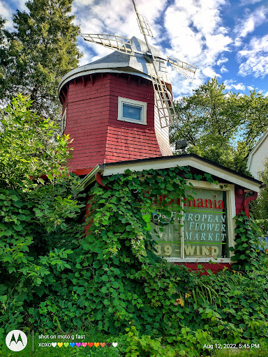 Florist «Tulipomania LLC», reviews and photos, 319 E Howard Ave, Milwaukee, WI 53207, USA