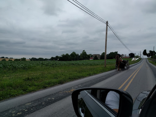 Shoe Store «Leacock Shoe Store», reviews and photos, 64 Old Leacock Rd, Ronks, PA 17572, USA