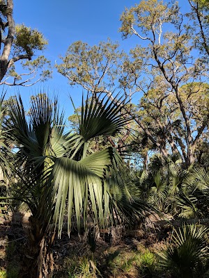 Dummett Sugar Mill Ruins - photo 82
