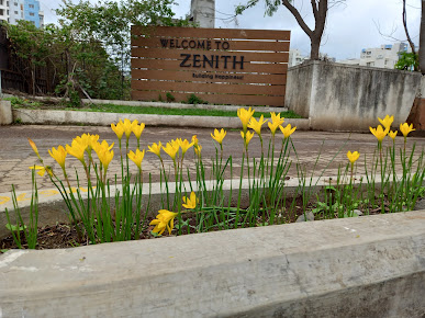 Google Maps image 15