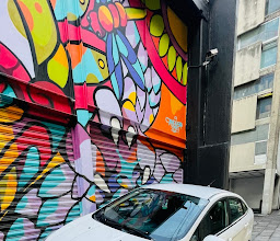 Store DJI Mexico photo