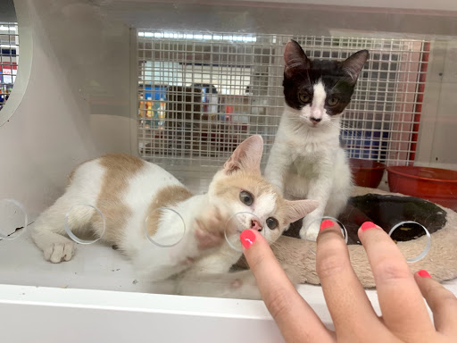 Pet Supply Store «Petco Animal Supplies», reviews and photos, 12014 SW 88th St, Miami, FL 33186, USA