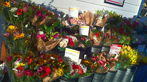 Grocery Store «Whole Foods Market», reviews and photos, 405 Pacific Coast Hwy, Redondo Beach, CA 90277, USA