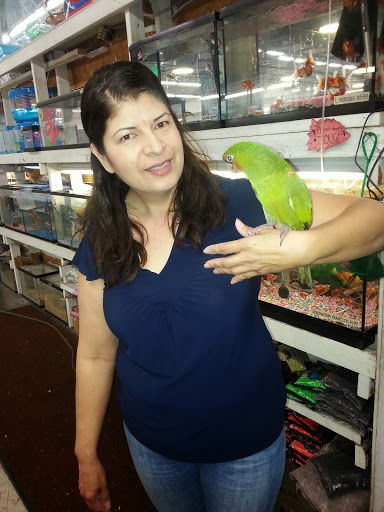 Pet Store «Premium Pet Store», reviews and photos, 1600 E Holt Ave, Pomona, CA 91767, USA
