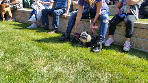 Golf Course «The Oaks Disc Golf Course», reviews and photos, 10847 W La Porte Rd, Mokena, IL 60448, USA