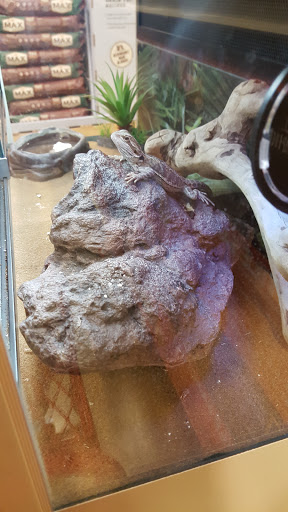 Pet Supply Store «PetSmart», reviews and photos, 2828 Campus Pkwy, Riverside, CA 92507, USA