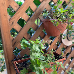 Photo n°12 de l'avis de Nicola.a fait le 15/08/2022 à 08:29 sur le  Hotel Savoia à Sapri