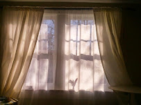 Soaring Sparrow Acupuncture - Photo 6 - Car repair in Portland, OR, Vancouver