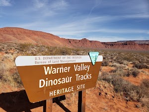 Warner Valley Dinosaur Track Site - photo 77