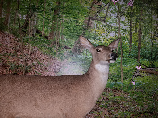History Museum «Indiana State Museum», reviews and photos, 650 W Washington St, Indianapolis, IN 46204, USA