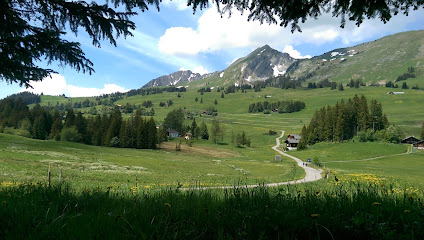 Col des Mosses