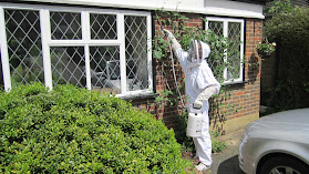 Wasp Nest Removal Herefordshire