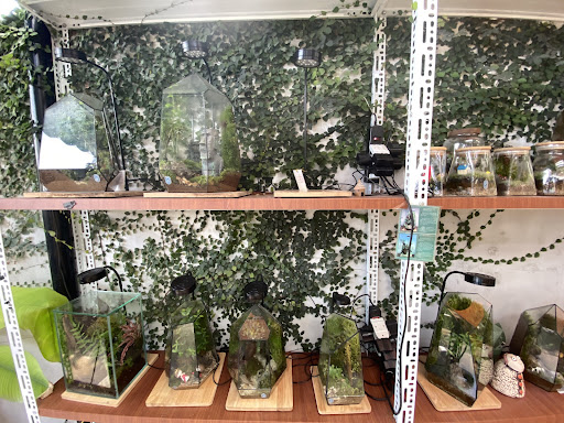 Top 20 quán cafe cho trẻ em Huyện Vĩnh Bảo Hải Phòng 2022