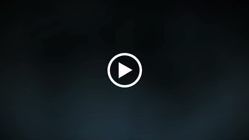 Explore silly goose tattoo ideas, creative tattoo ideas in Mobile, available at Brothers Ink Tattoo Parlor